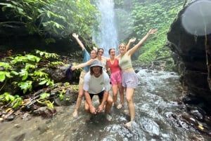 Lombok: Exclusive 4 Waterfalls, Rice Field & Beach