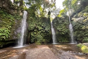 Lombok: Exclusive 4 Waterfalls, Rice Field & Beach