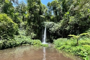 Lombok: Exclusive 4 Waterfalls, Rice Field & Beach