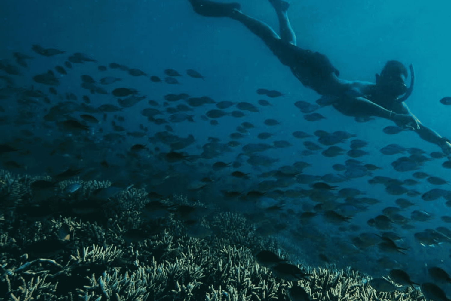 Lombok: eksklusiv snorkling og øhop ved de syv Gili-øer