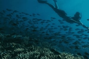 Lombok: eksklusiv snorkling og øhop ved de syv Gili-øer