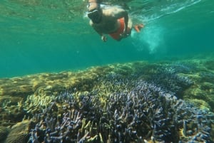 Lombok: eksklusiv snorkling og øhop ved de syv Gili-øer