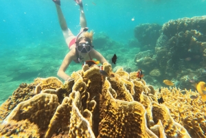 Lombok: eksklusiv snorkling og øhop ved de syv Gili-øer