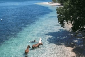 Lombok: eksklusiv snorkling og øhop ved de syv Gili-øer