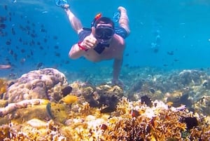 Lombok: eksklusiv snorkling og øhop ved de syv Gili-øer