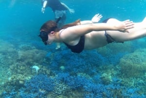 Lombok: eksklusiv snorkling og øhop ved de syv Gili-øer