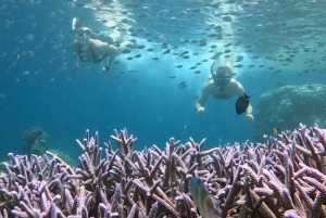 Lombok: eksklusiv snorkling og øhop ved de syv Gili-øer