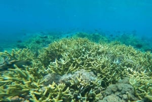 Lombok: Exotic Beach And Beautiful Snorkeling