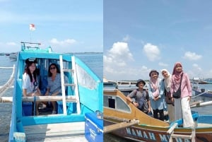 Lombok: Ganztägige Segeltour zum 3 Pink Beach und 3 Gili