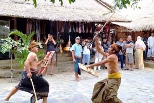 Lombok: Helt anpassningsbar privat turné med förare-guide