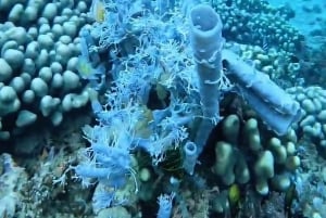 Lombok: eilandhoppen naar Gili Gede, Rengit en Layar