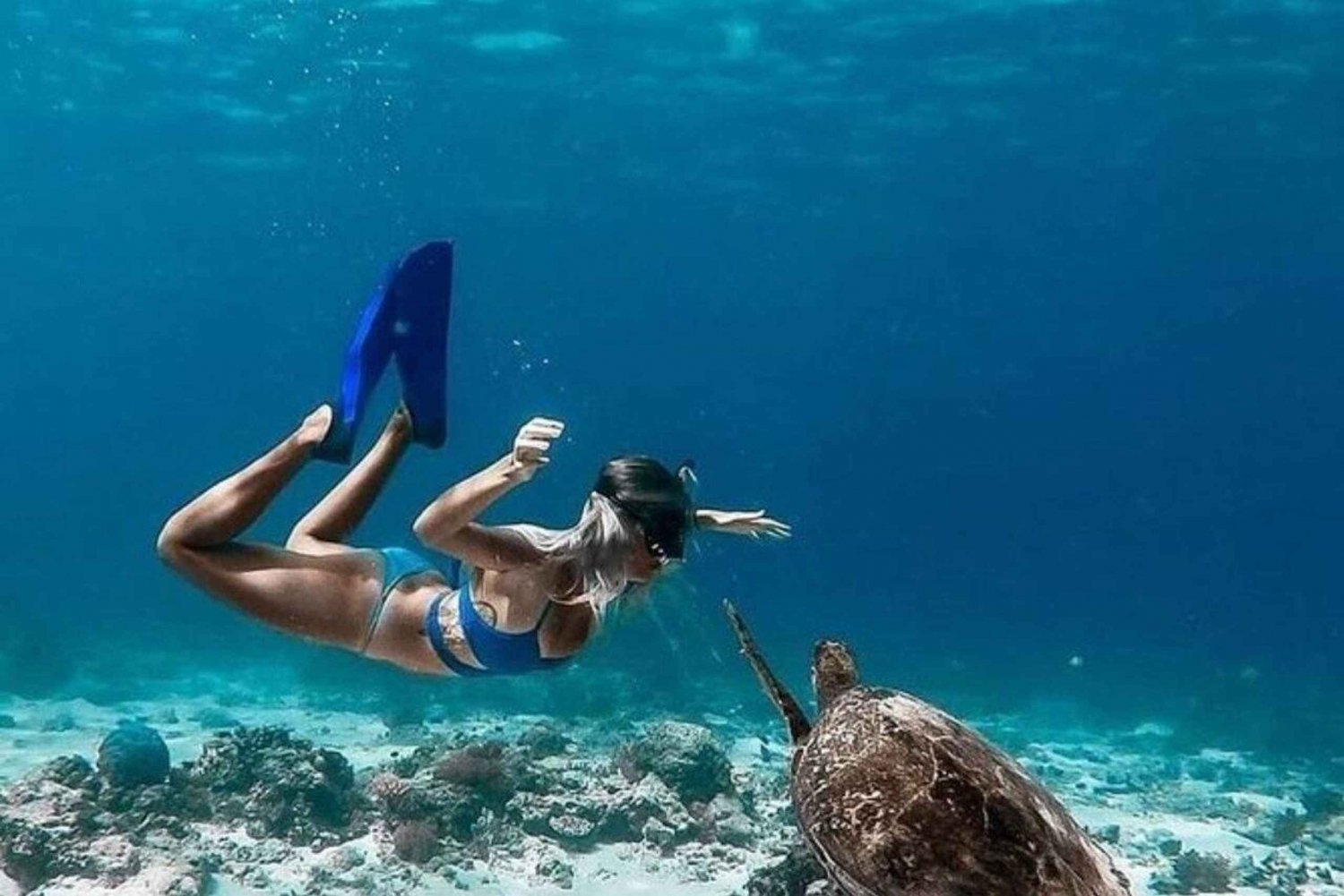 Lombok : Gili Trawangan, Meno & Air Yksityinen snorklausretki