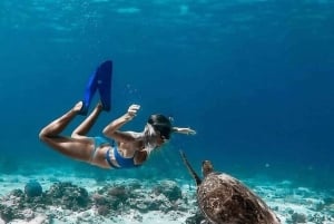 Lombok : Gili Trawangan, Meno & Air Privat tur för snorkling