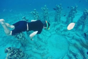 ロンボク島：ギリ・トラワンガン、メノ＆エアプライベートシュノーケリングツアー