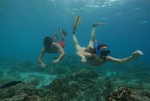 Lombok : Gili Trawangan, Meno & Air Tour particular de snorkeling