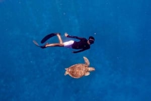 Lombok : Gili Trawangan, Meno & Air Yksityinen snorklausretki