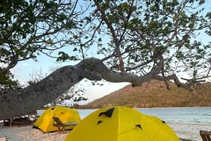 Lombok: 2-tägiger Campingausflug zu den Gili-Inseln mit Schnorcheln