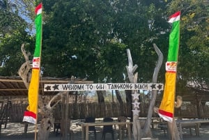 Lombok: 2-tägiger Campingausflug zu den Gili-Inseln mit Schnorcheln