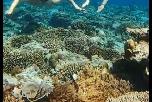 Lombok: Gili Islands Glass Bottom Boat Tour with Snorkeling