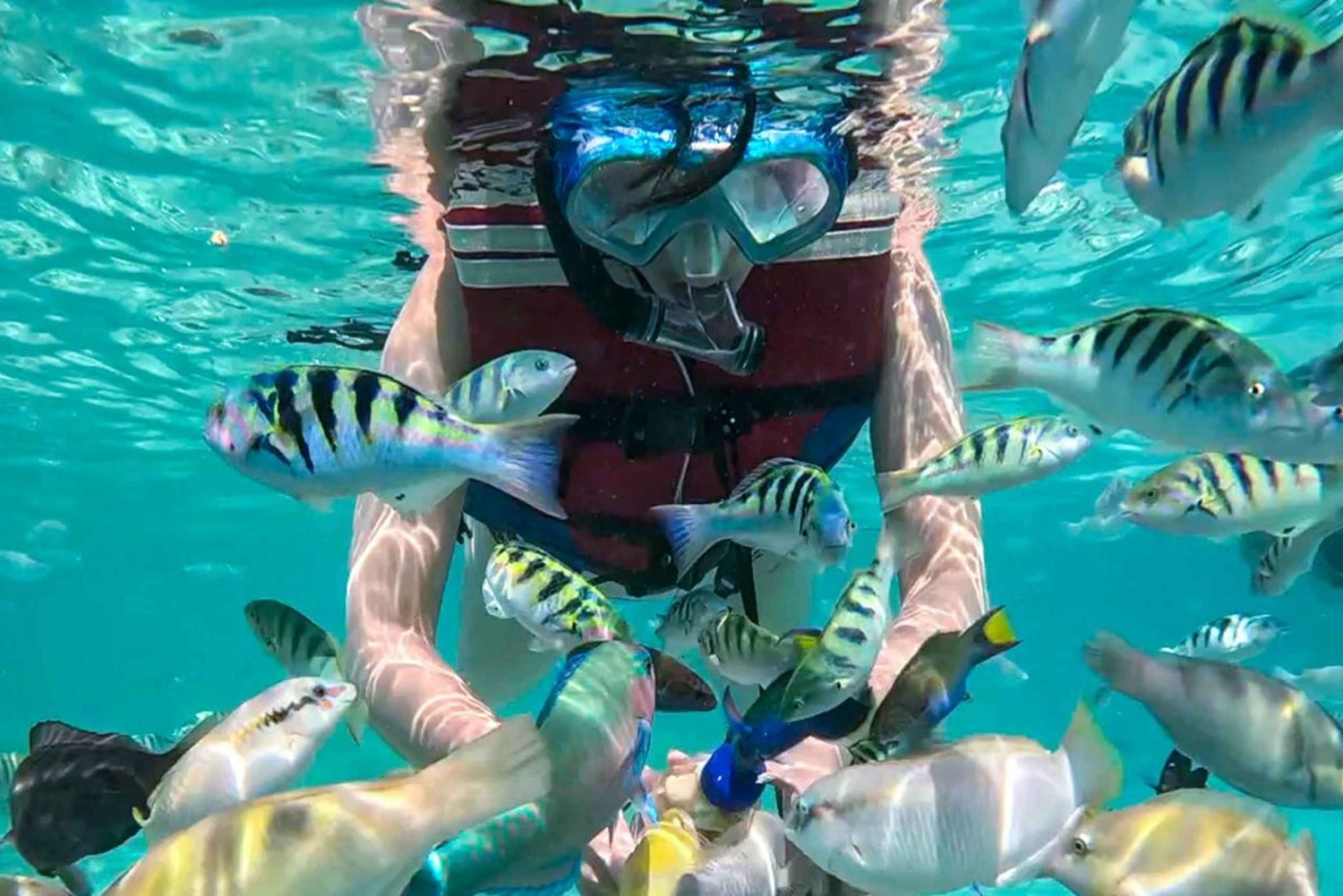 Lombok: Gili Kedis-Nanggu – vedenalainen minisaarikierros