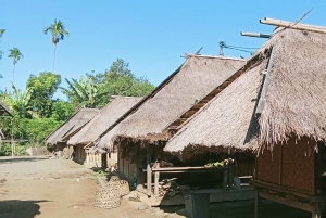 Lombok: Gili Meno, Waterfalls, and Sasak Village Tour