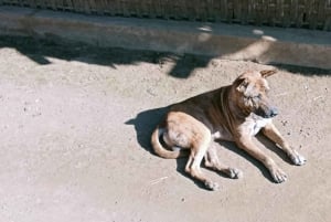 Lombok: Gili Meno, Waterfalls, and Sasak Village Tour