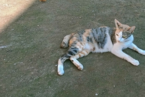 Lombok: Gili Meno, Waterfalls, and Sasak Village Tour