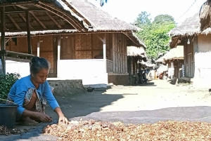 Lombok: Gili Meno, Waterfalls, and Sasak Village Tour