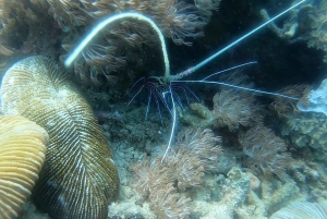 Lombok: Gili Nanggu, Kedis, and Sudak Islands Boat Tour