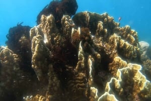 Lombok: Rondvaart Gili Nanggu, Kedis en Sudak Eilanden