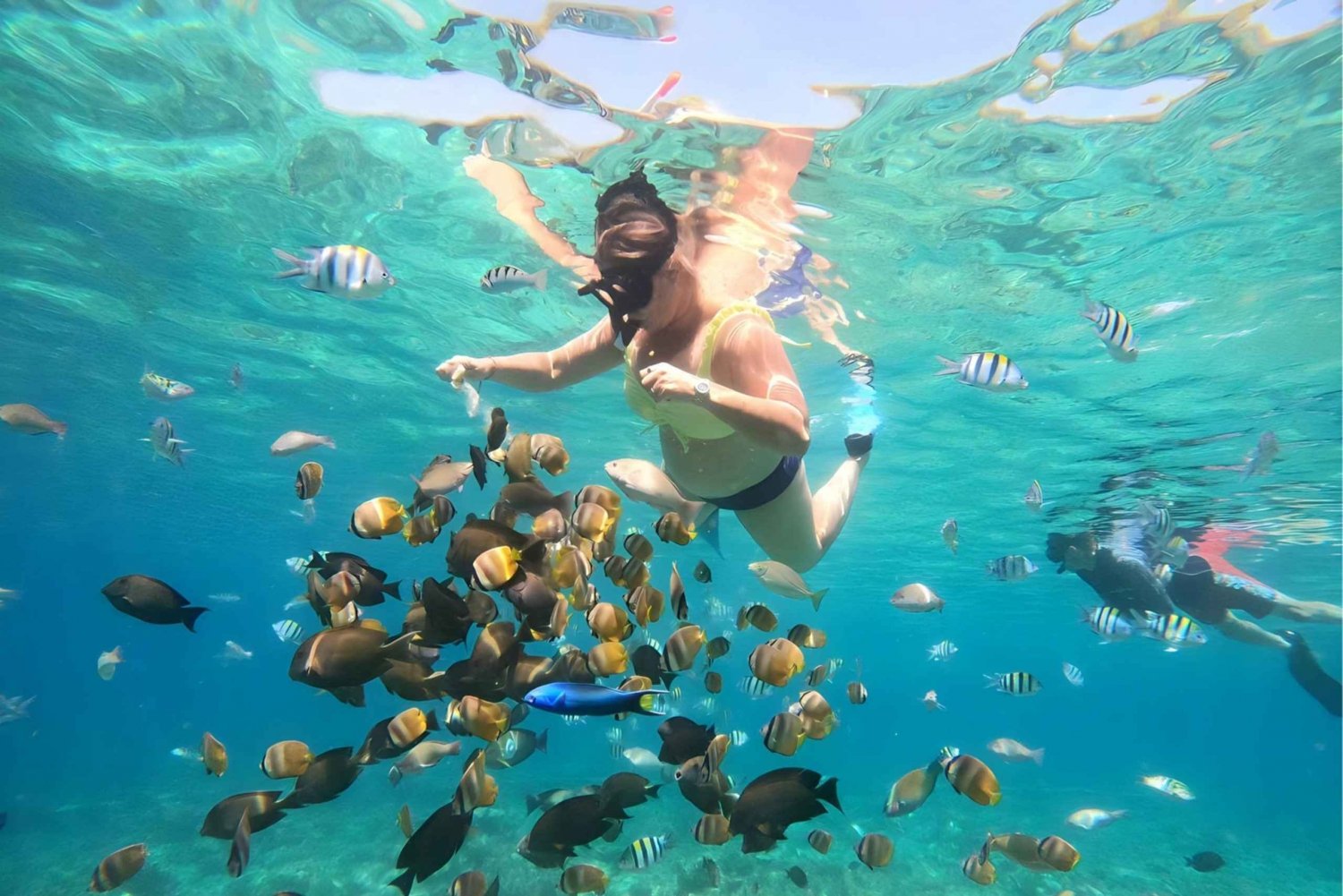 Lombok: Gili Nanggu, Sudak i Kedis - prywatna wycieczka snorkelingowa