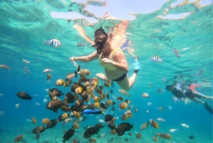 Lombok: Gili Nanggu, Sudak og Kedis - privat snorkletur