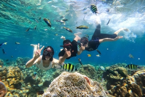 Lombok: Tour privato di snorkeling di Gili Nanggu, Sudak e Kedis