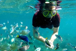 Lombok: Gili Nanggu, Sudak i Kedis - prywatna wycieczka snorkelingowa