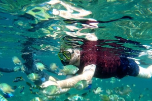 Lombok: Gili Nanggu, Sudak og Kedis - privat snorkletur