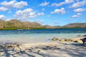 Lombok: Gili Nanggu, Sudak och Kedis Privat snorklingstur