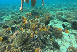 Lombok: Gili Nanggu, Sudak, and Kedis Snorkeling Tour