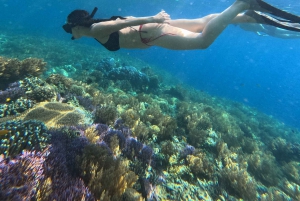 Lombok: Gili Nanggu, Sudak, and Kedis Snorkeling Tour