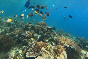 Lombok: Gili Nanggu, Sudak, and Kedis Snorkeling Tour