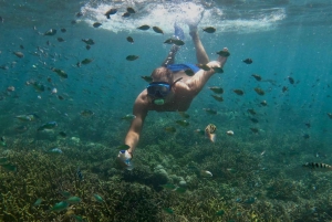 Lombok: Excursão de snorkeling em Gili Nanggu, Sudak e Kedis