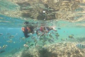 Lombok : Excursión de snorkel por las islas Gili Nanggu, Sudak y Kedis