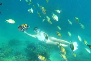 Lombok: Snorkeltur på Gili Nanggu, Sudak og Kedis-øerne