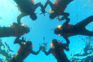 Lombok : Snorkling på Gili Nanggu, Sudak- och Kedisöarna