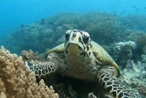 Lombok: Gili Rengit, Gili Gede, and Gili Layar Island Tour