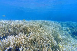 Lombok: Gili Rengit, Gili Gede, and Gili Layar Island Tour