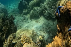 Lombok: Gili Rengit, Gili Gede og Gili Layar Island Tour