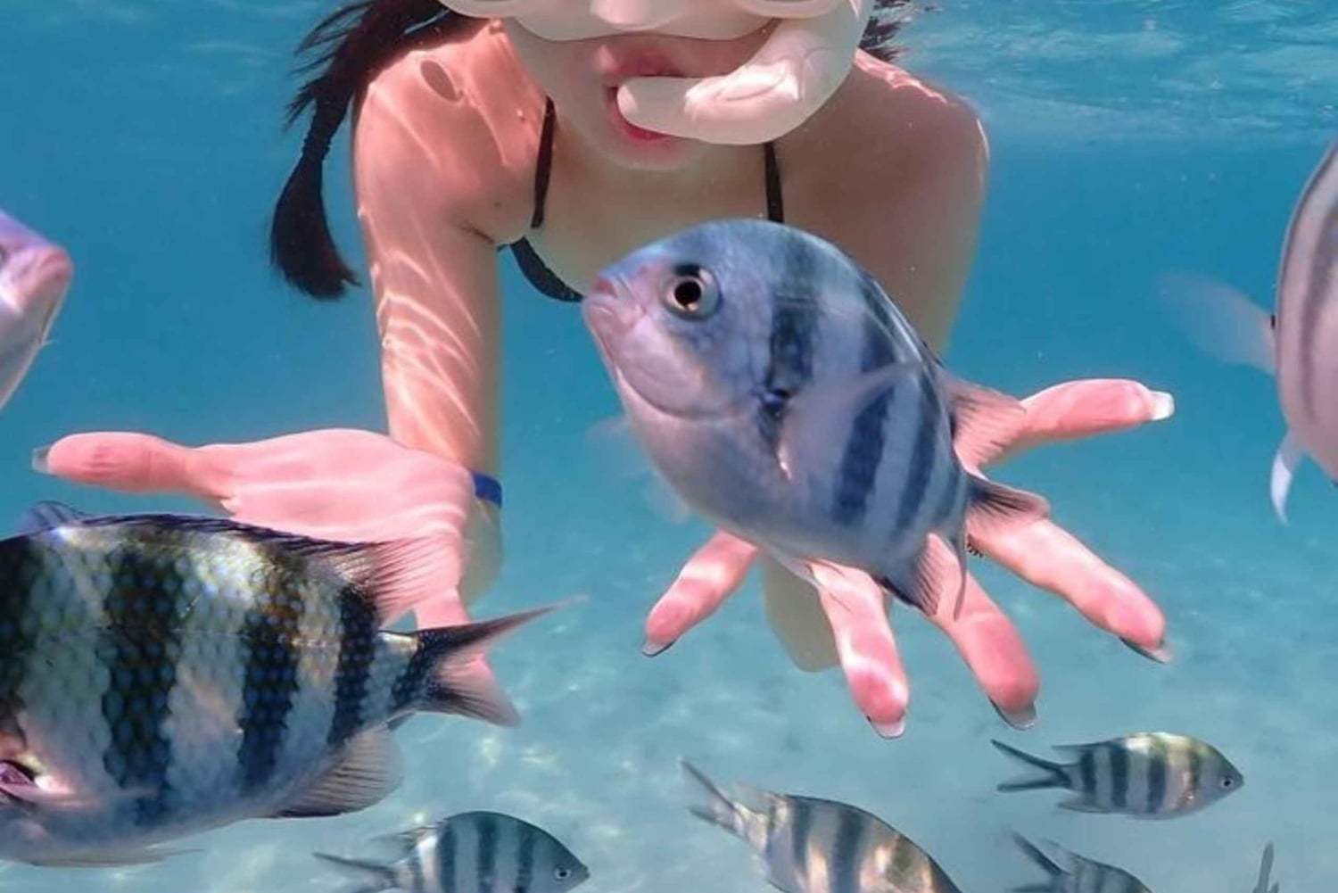 Lombok : Gili Snorkeling Trip and Horse Ride