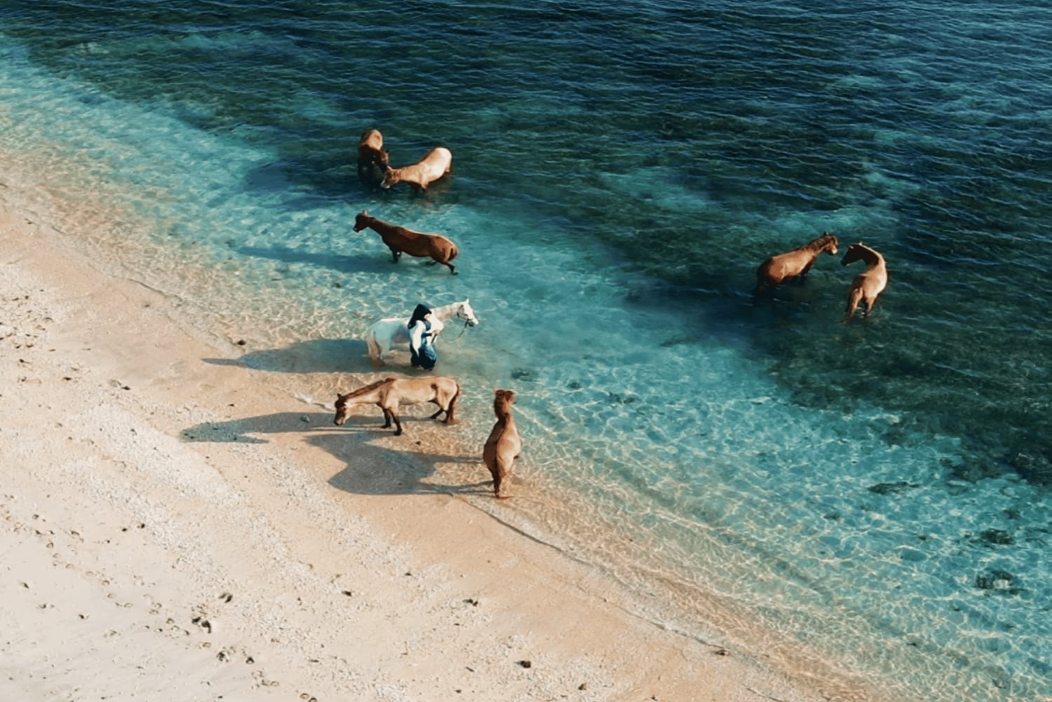 Lombok : Gili Snorkeling Trip and Horse Ride