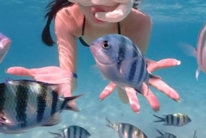 Lombok : Gili Snorkeling Trip and Horse Ride