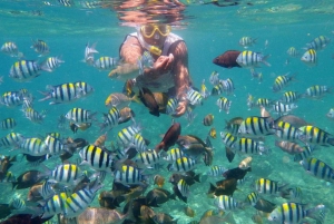 Lombok: Gili Trawangan, Meno, Air Snorkeling Trip inkl.frokost